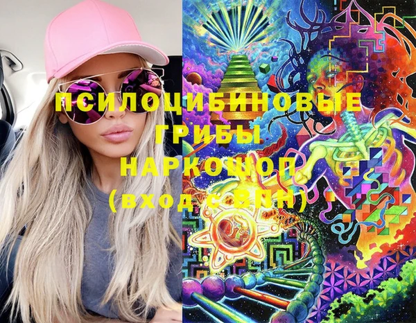 бутират Алексеевка