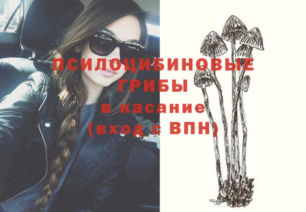 метадон Алексин