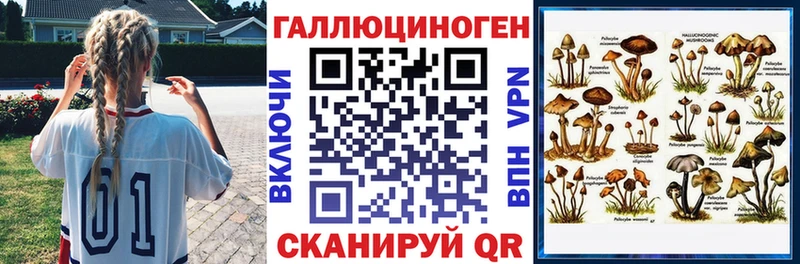 Галлюциногенные грибы Psilocybe  Купить где  Лысьва 